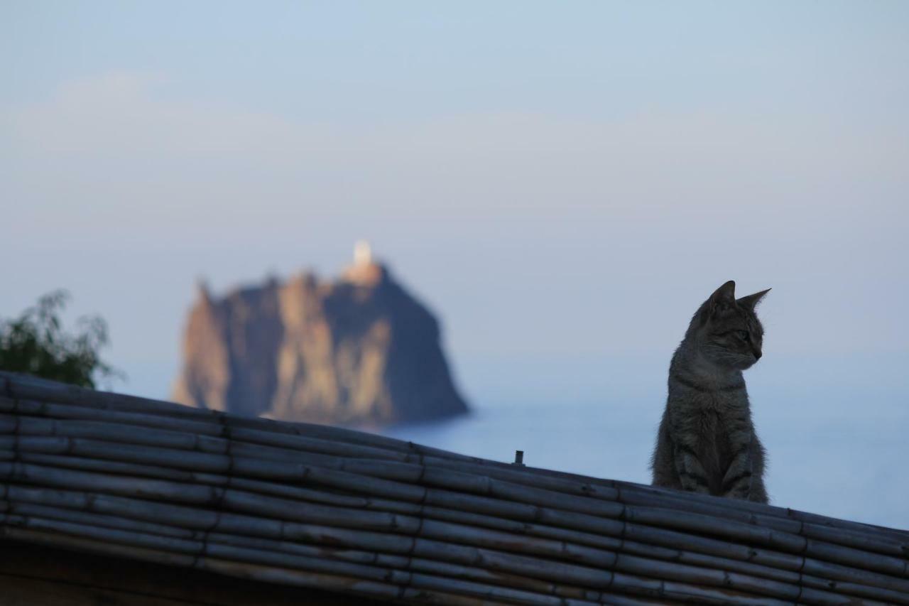 Vacanza Gia.no Apartment Stromboli